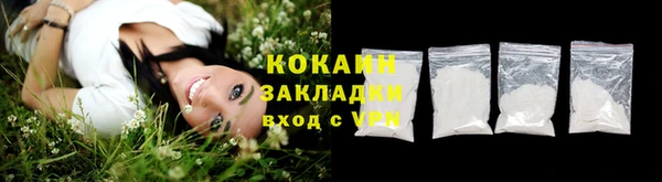 PSILOCYBIN Баксан